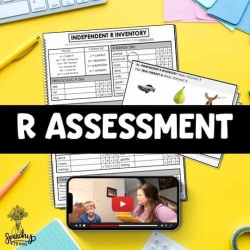 R Assessment