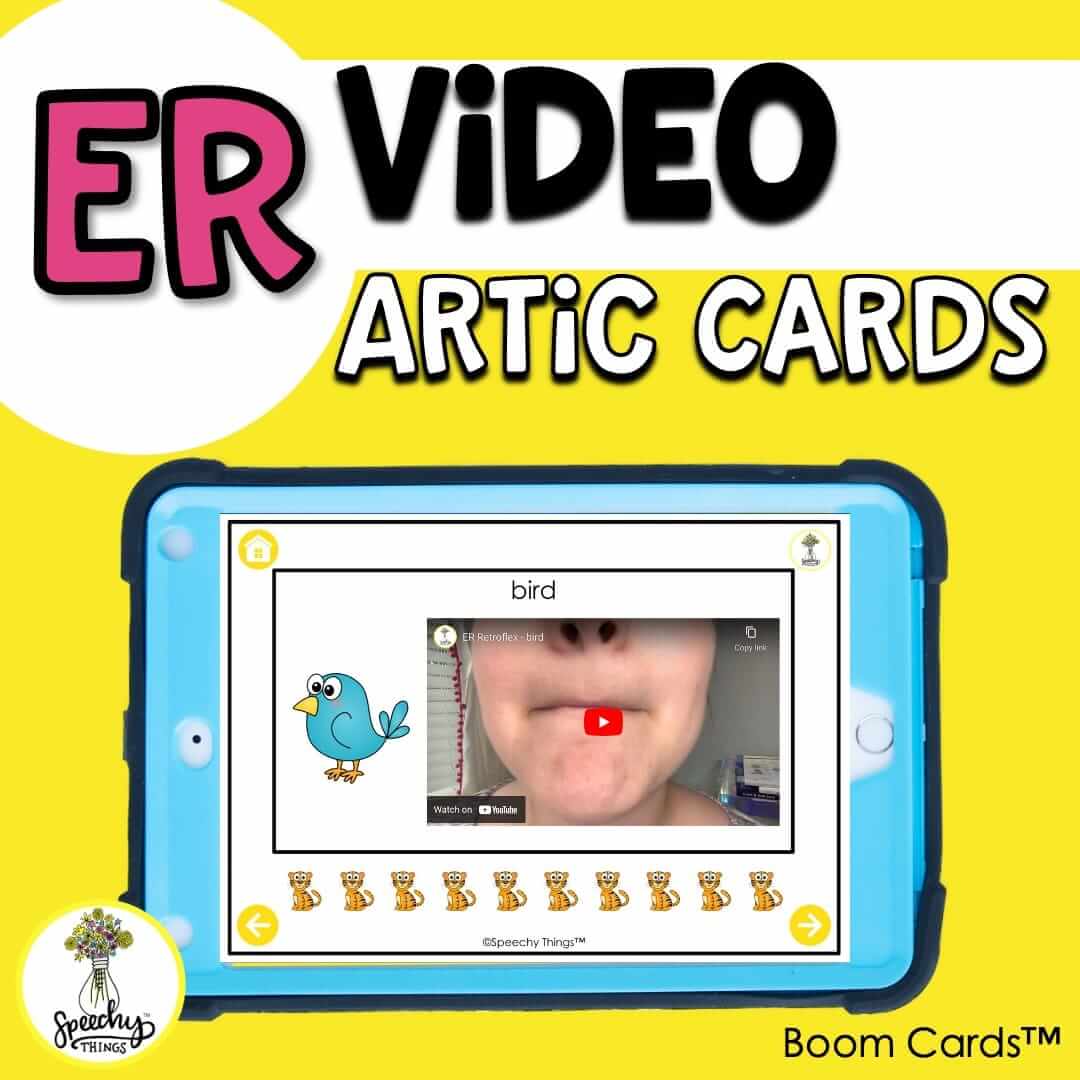 ER Video Artic Boom Cards